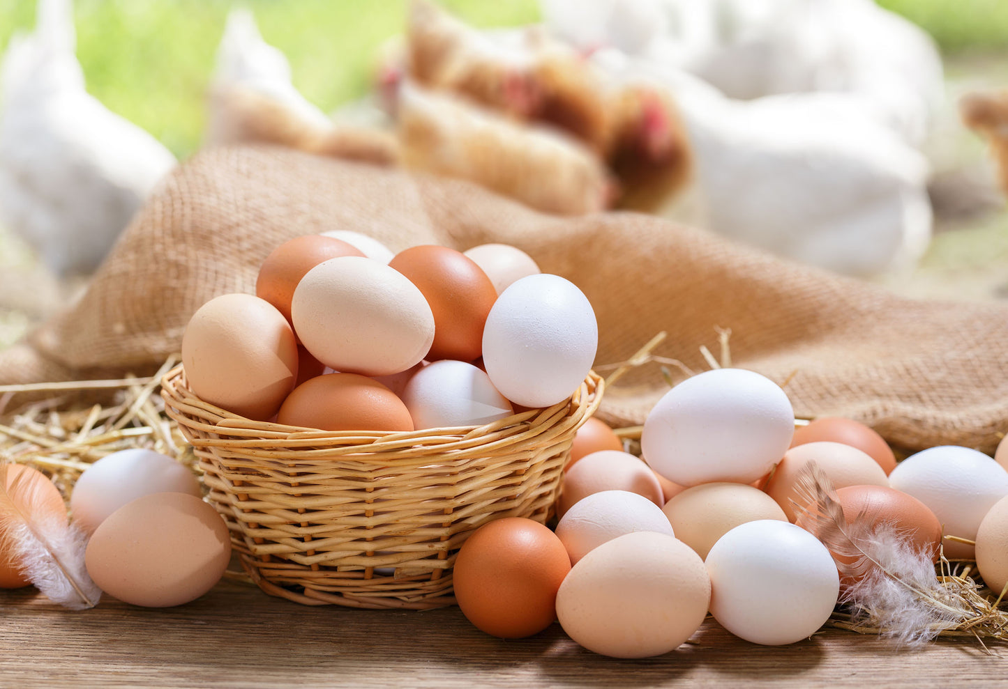 Add-On: Summer Fresh Eggs Bundle - Bi-weekly